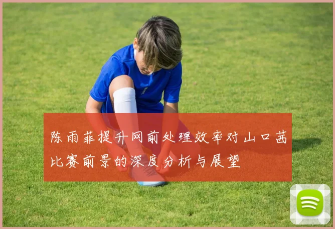 陈雨菲提升网前处理效率对山口茜比赛前景的深度分析与展望